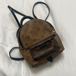 Louis Vuitton Palm Springs Mini